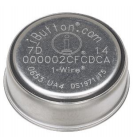ibutton.PNG
